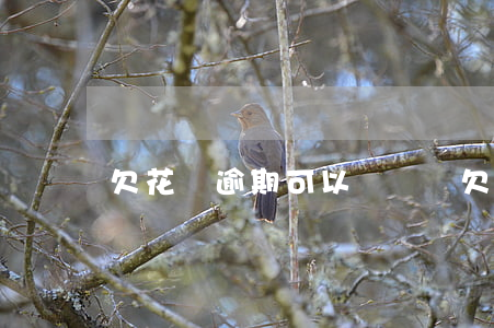 欠花唄逾期可以參軍嗎(欠花唄逾期可以參軍嗎)