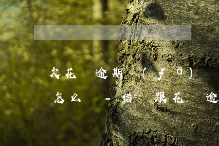 欠花唄逾期發(fā)來(lái)律師函怎么辦-借唄跟花唄逾期寄來(lái)了律師函怎么辦
