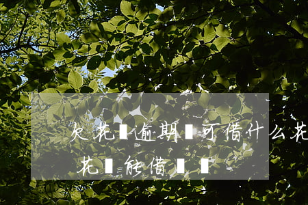 欠花唄逾期還可借什么(花唄借唄逾期了還了,花唄能借錢嗎)