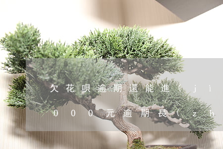 欠花唄逾期還能進(jìn)廠嗎(花唄欠5000元逾期長(zhǎng)時(shí)間沒錢還會(huì)怎么樣)