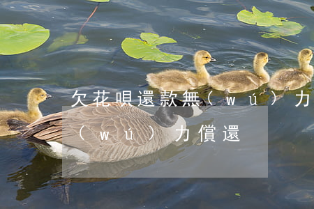 欠花唄還款無(wú)力償還（欠花唄還款無(wú)力償還）