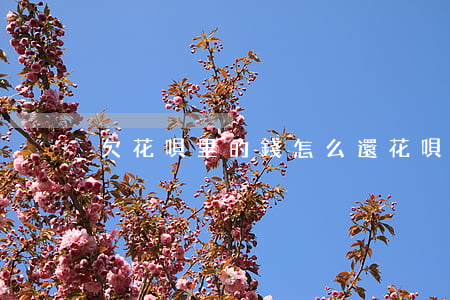 欠花唄里的錢怎么還(花唄花的錢怎么還)