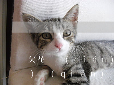 欠花唄錢(qián)快逾期了沒(méi)錢(qián)還怎么辦(花唄嚴(yán)重逾期,想還錢(qián)看不到怎么辦)