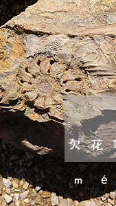 欠花唄錢沒(méi)還還能用淘寶嗎(沒(méi)用過(guò)支付寶怎么會(huì)欠花唄的錢)