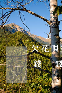 欠花唄錢沒錢還利息會越來越高嗎-欠花唄錢沒錢還利息會越來越高嗎為什么