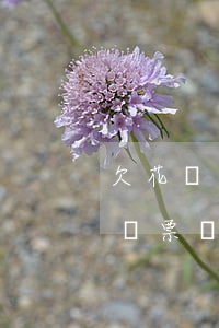 欠花唄錢逾期能坐高鐵嗎(借唄逾期可以買高鐵票嗎?)