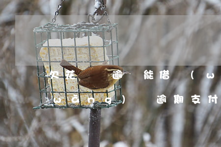 欠花唄錢逾還能借網(wǎng)貸嗎(網(wǎng)貸逾期支付寶花唄借唄還能用嗎?)