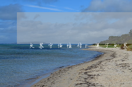 欠苏宁任性付5年了(欠苏宁任性付好多年了)