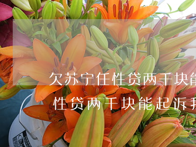 欠苏宁任性贷两千块能起诉我吗-欠苏宁任性贷两千块能起诉我吗知乎
