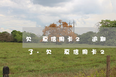 欠華夏信用卡2萬逾期實(shí)在還不了-欠華夏信用卡2萬逾期實(shí)在還不了怎么辦