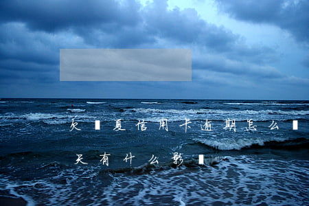 欠華夏信用卡逾期怎么辦(華夏信用卡逾期兩天有什么影響)