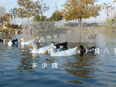 欠萬達(dá)貸八千(萬達(dá)欠銀行多少錢)