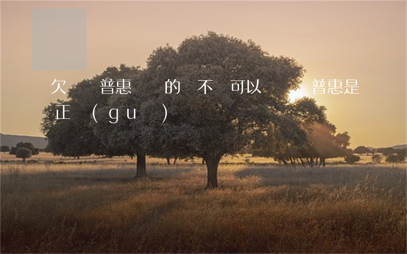 欠萬達普惠網貸的錢不還可以嗎(萬達普惠是正規(guī)網貸嗎?)