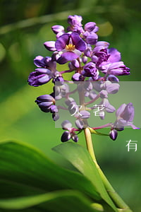 欠著網貸沒逾期過影響辦車貸嗎(網貸逾期辦車貸有影響嗎)