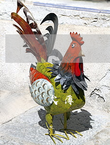 欠薄發(fā)信用卡五萬逾期了