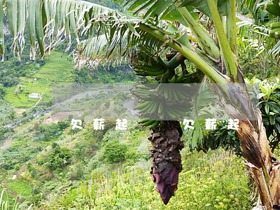 欠薪起訴書(欠薪起訴書怎么寫)