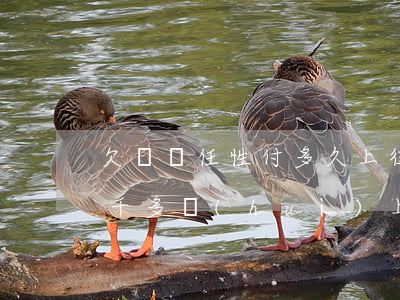 欠蘇寧任性付多久上征信(蘇寧任性貸欠了一千多會(huì)上征信嗎)