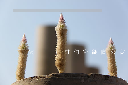 欠蘇寧任性付它能向公安局報(bào)案嗎