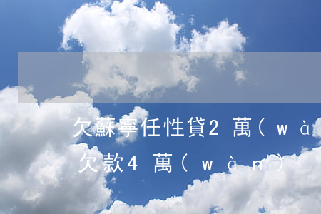 欠蘇寧任性貸2萬(wàn)元(蘇寧任性貸欠款4萬(wàn))