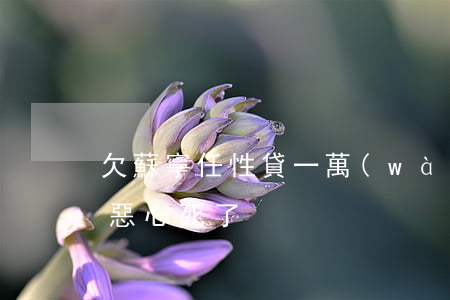 欠蘇寧任性貸一萬(wàn)六(蘇寧任性貸惡心死了)