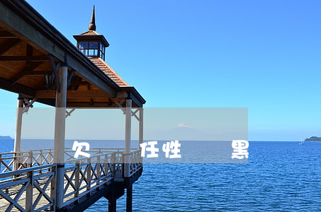 欠蘇寧任性貸會黑戶嗎(蘇寧任性貸歸誰管)