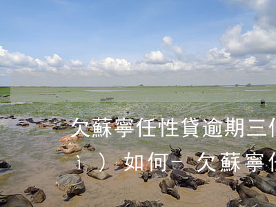 欠蘇寧任性貸逾期三個(gè)月會(huì)如何-欠蘇寧任性貸逾期三個(gè)月會(huì)如何處理