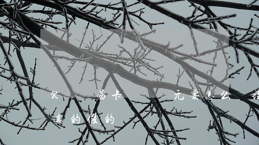 欠蘇寧易卡貸幾萬元要怎么處理好(蘇寧易貸真的假的)