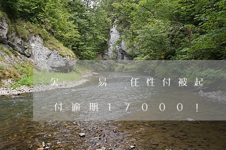 欠蘇寧易購任性付被起訴怎么辦-蘇寧任性付逾期17000!總共欠10萬會起訴嗎