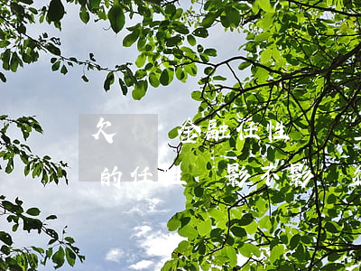 欠蘇寧金融任性貸會上征信嗎(使用蘇寧易購的任性貸影不影響征信)