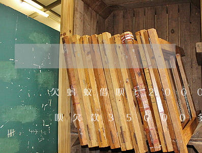 欠蚂蚁借呗12000被起诉(支付宝借呗花呗欠款35000多久会被起诉)