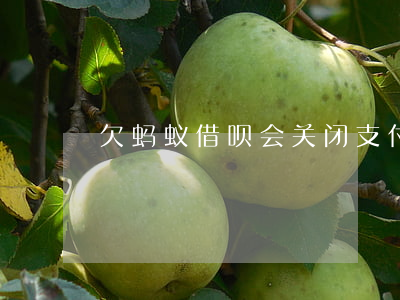 欠蚂蚁借呗会关闭支付宝功能吗-