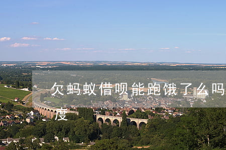 欠蚂蚁借呗能跑饿了么吗(饿了么借呗6万额度)