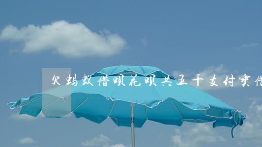 欠蚂蚁借呗花呗共五千(支付宝借呗五万)
