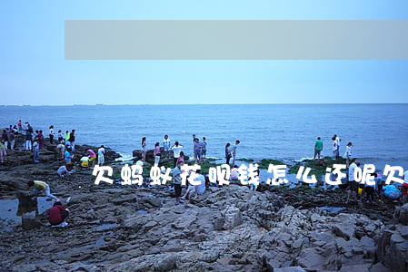 欠蚂蚁花呗钱怎么还呢(欠支付宝花呗钱)