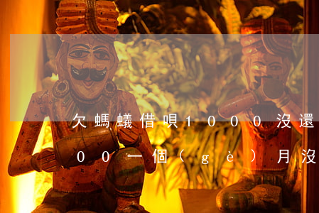 欠螞蟻借唄1000沒還(欠支付寶借唄2000,一個(gè)月沒還了)