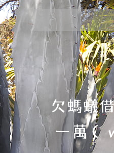 欠螞蟻借唄1萬(wàn)怎么辦(欠了借唄一萬(wàn)不還)