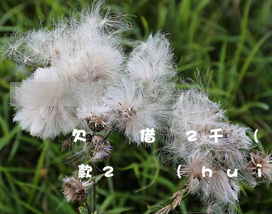 欠螞蟻借唄2千會(huì)坐牢嗎(借唄欠款2萬會(huì)不會(huì)坐牢)