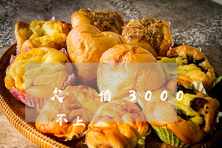 欠螞蟻借唄3000沒還(借唄欠了3萬多還不上)