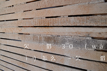 欠螞蟻借唄30萬(wàn)不還會(huì)怎么樣-欠螞蟻借唄30萬(wàn)不還會(huì)怎么樣呢