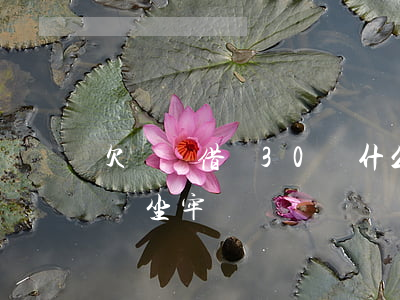 欠螞蟻借唄30萬什么后果(螞蟻借唄欠5萬會坐牢嗎)