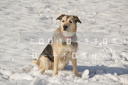 欠螞蟻借唄一年不還有什么后果-欠螞蟻借唄一年不還有什么后果嗎