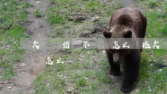 欠螞蟻借唄不還會怎么樣(拖欠螞蟻借唄不還會怎么樣)
