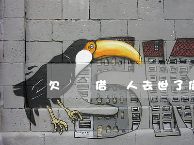 欠螞蟻借唄人去世了(借唄借錢人死了)
