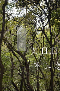 欠螞蟻借唄兩萬還不上怎么辦(欠借唄幾萬,還不上怎么辦,真的沒有辦法了)