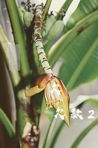 欠螞蟻借唄幾千元會(huì)坐牢嗎(借唄欠款2萬(wàn)會(huì)不會(huì)坐牢)