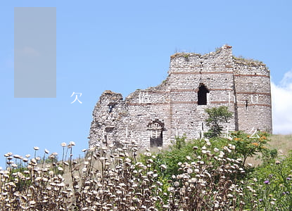 欠螞蟻借唄會(huì)怎么樣(欠螞蟻借唄會(huì)怎么樣)