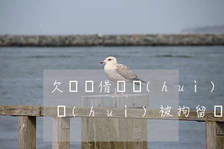 欠螞蟻借唄會(huì)被拘留嗎(借唄欠款會(huì)被拘留嗎)
