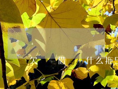 欠螞蟻借唄為什么拖5年才起訴-