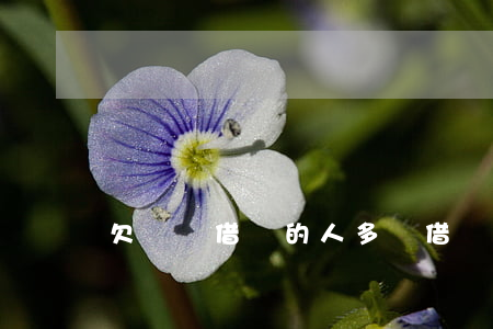 欠螞蟻借唄的人多嗎(借唄逾期的人多不多)