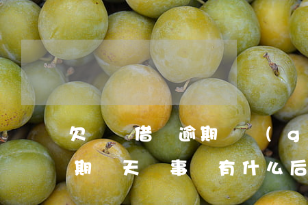 欠螞蟻借唄逾期幾個(gè)月(螞蟻借唄逾期幾天沒事嗎 有什么后果嗎)